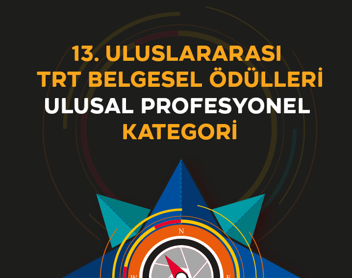 ULUSAL PROFESYONEL KATEGORİ