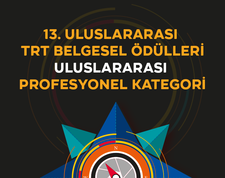 ULUSLARARASI KATEGORİ